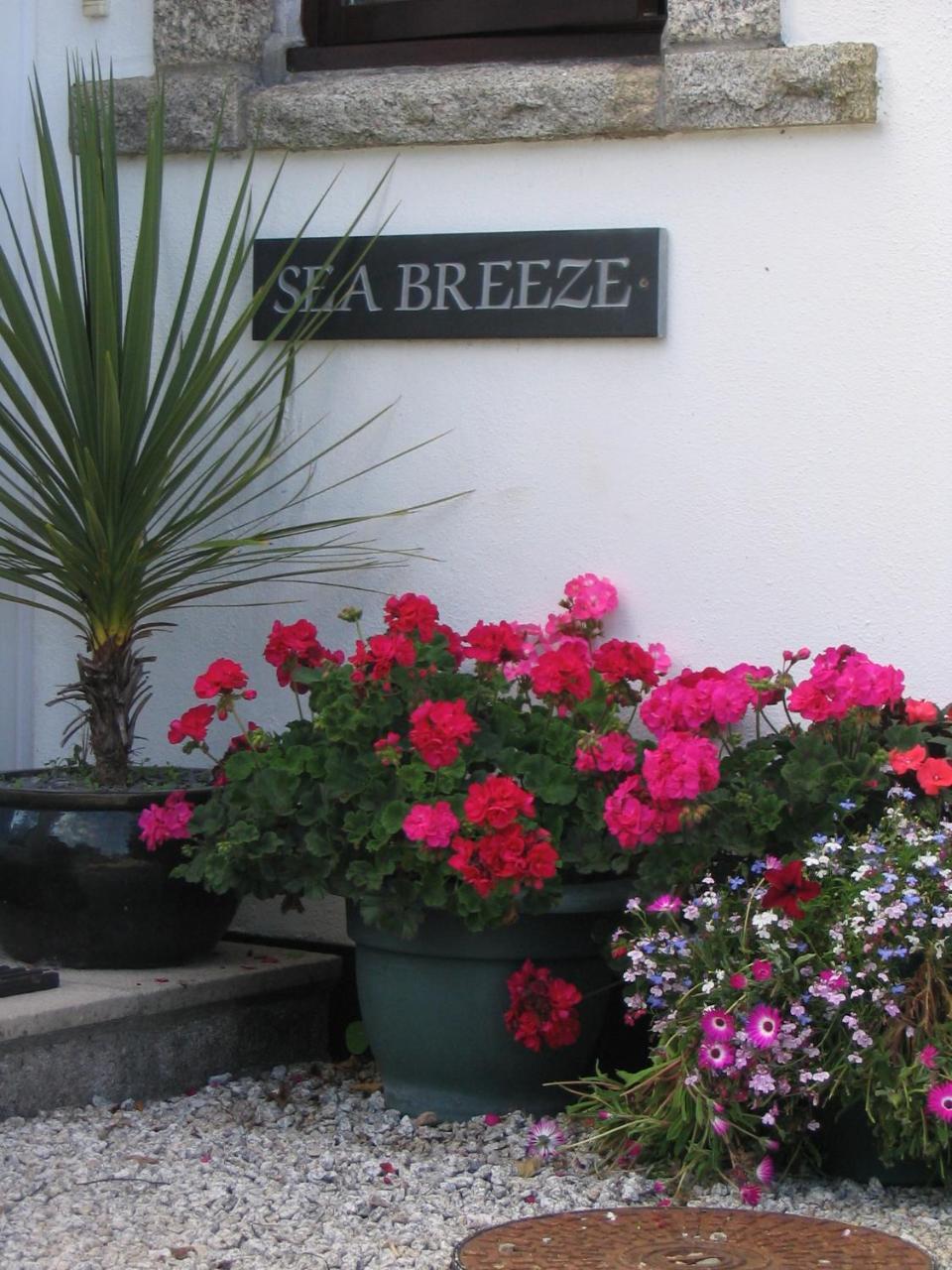 Bed and Breakfast Sea Breeze à St Ives Extérieur photo